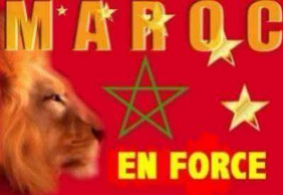 les lion de latlas